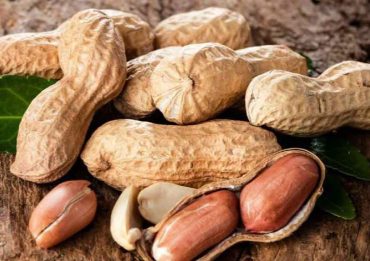 بادام زمینی‌تان بوی کهنگی می‌دهد؟ این ترفندها معجزه می‌کنند!