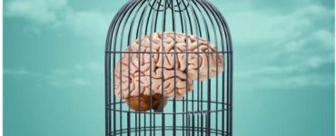 تصلب شناختی و انعطاف‌پذیری ذهن