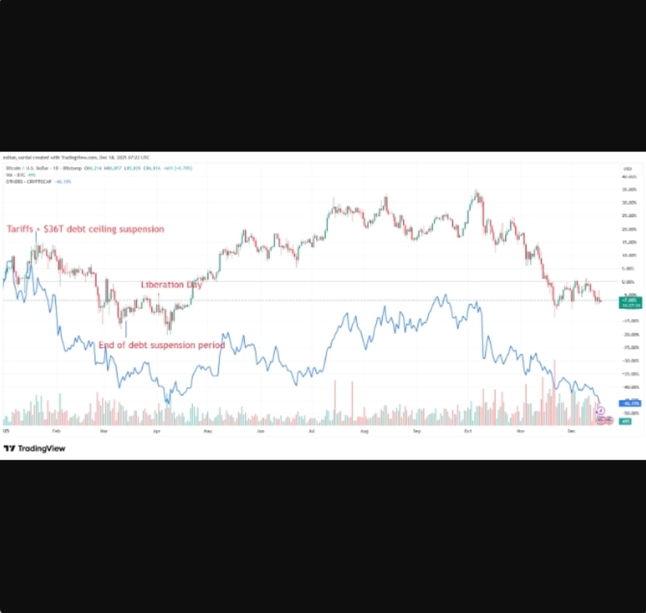 ریپل، زی‌کش و الگورند؛ برندگان غیرمنتظره بازار رمزارز در سال ۲۰۲۵