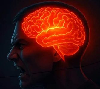 وقتی عصبانی هستید چه اتفاقی در مغز شما می‌ افتد؟