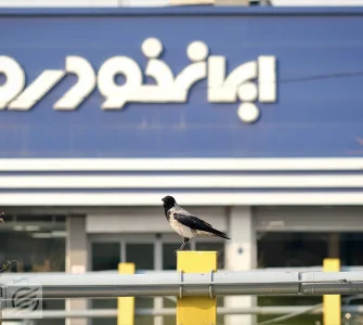 محصولات ایران‌خودرو گران نمی‌شوند؟ سخنگوی سازمان بازرسی پاسخ داد